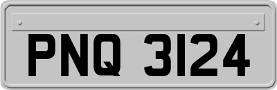 PNQ3124