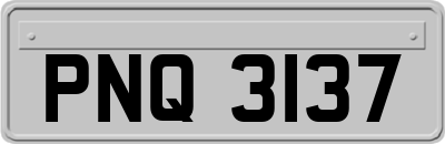 PNQ3137