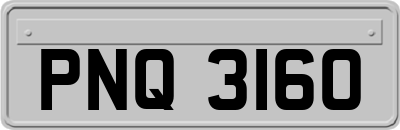 PNQ3160