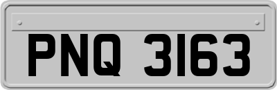 PNQ3163