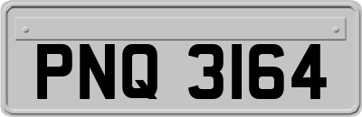 PNQ3164