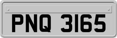 PNQ3165