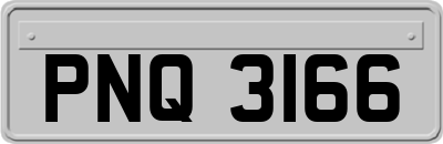 PNQ3166