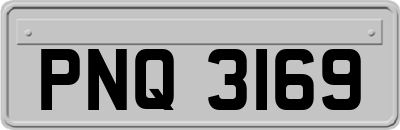 PNQ3169