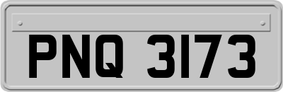 PNQ3173