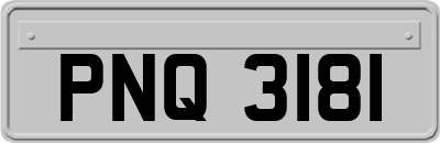 PNQ3181