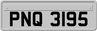PNQ3195
