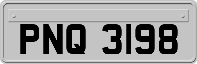 PNQ3198