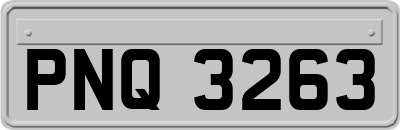 PNQ3263