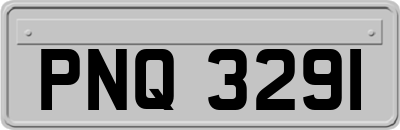 PNQ3291