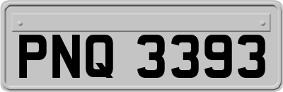 PNQ3393