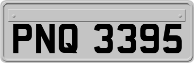 PNQ3395