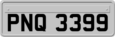 PNQ3399
