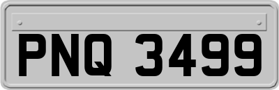 PNQ3499