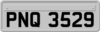 PNQ3529