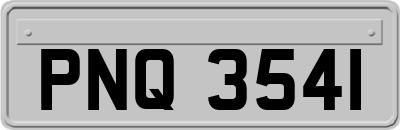 PNQ3541