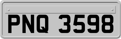 PNQ3598