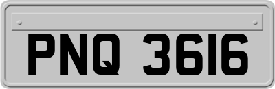 PNQ3616