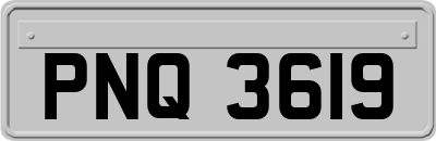 PNQ3619