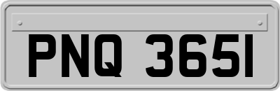 PNQ3651