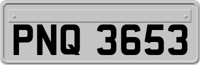 PNQ3653