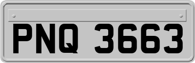 PNQ3663