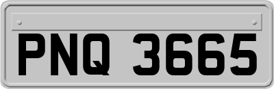 PNQ3665