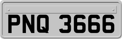 PNQ3666