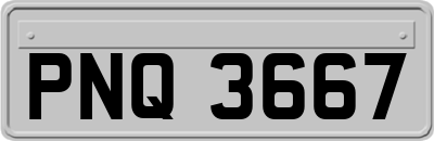 PNQ3667