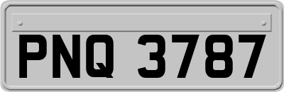 PNQ3787