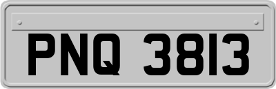 PNQ3813