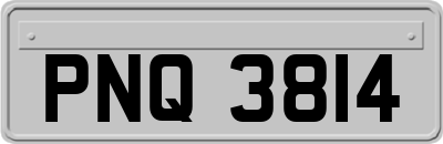 PNQ3814