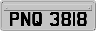 PNQ3818