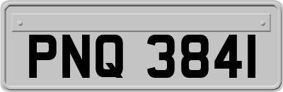 PNQ3841