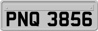 PNQ3856