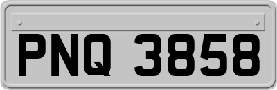 PNQ3858