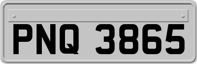 PNQ3865