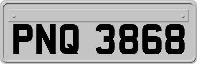 PNQ3868