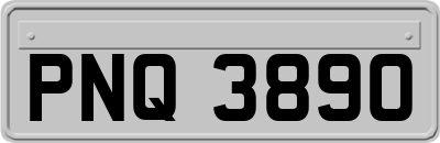 PNQ3890