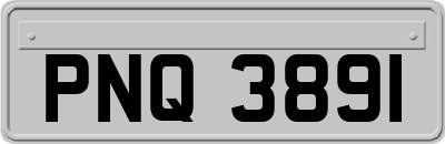 PNQ3891
