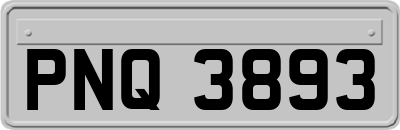 PNQ3893