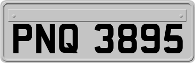 PNQ3895