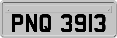 PNQ3913