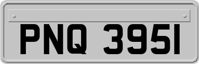 PNQ3951