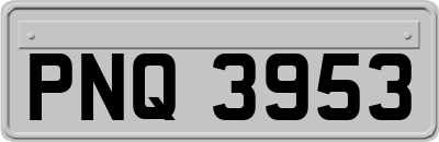 PNQ3953