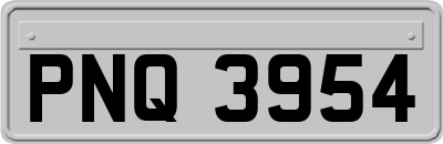 PNQ3954