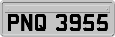 PNQ3955