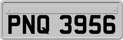 PNQ3956