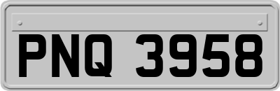 PNQ3958