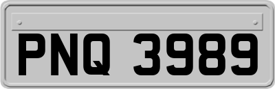 PNQ3989
